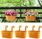 Meltset Lot de 3 pots de fleurs ovales en fer à suspendre pour clôture, jardin, balcon, décoration murale, intérieur et extérieur, orange