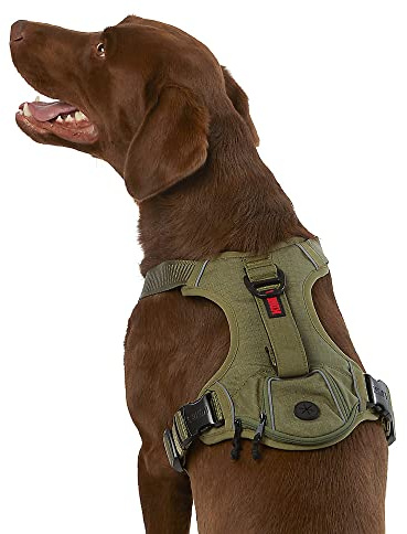 KONG Ultra Durable Waste Bag Harness (XL, Grün)