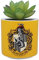 Harry Potter Half Moon Bay Pot de Fleurs d'intérieur | Pot de Fleurs en céramique et Pots de Fleurs d'intérieur | Pots de Fleurs décoratifs d'intérieur | Cadeaux de Fleurs d'intérieur | Pot de Fleurs