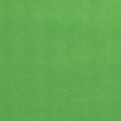 1 Meter Filz Bastelfilz 3 mm Dick / 90 cm Breit Taschenfilz Dekorationsfilz Meterware 26 Farben (Apfel)