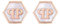 Philipp Plein Damen Ohrringe Edelstahl IP Rose Gold PLEIN MINI LOGO PJ2EA13EU