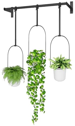 Bamworld Vasi da Appendere Esterno Porta Vaso da Interno Fioriera da Parete Asta di Metallo Nero (3 fioriera)