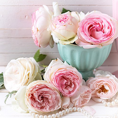 20 Servietten Sanfte Rosensammlung/Rosen/Blumen/Hochzeit 33x33cm