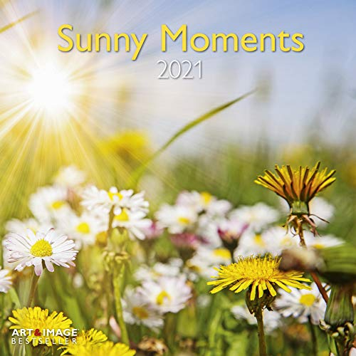 Sunny Moments - Broschurkalender - Kalender 2021 - teNeues-Verlag - Art & Image - Wandkalender mit Platz für Eintragungen - 29,8 cm x 29,8 cm (offen 29,8 cm x 59,8 cm)