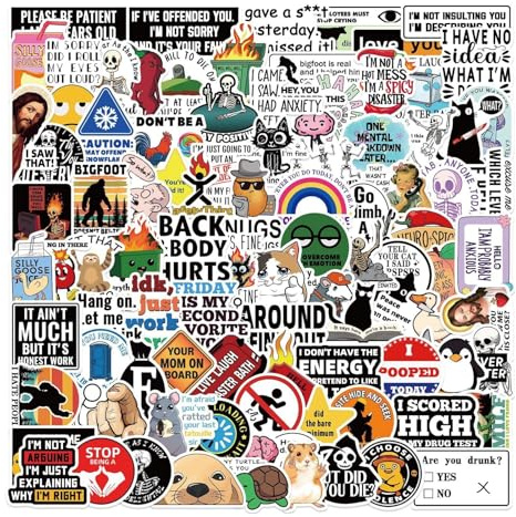 100Pcs Funny Stickers for Adults,Water Bottle Stickers Waterproof,Waterproof Vinyl Graffiti Colorful Decals,Pr/ANK Meme Stickers,for Laptop, Helmet, Suitcase, Bicycle, Motorcycle, Skateboard#2