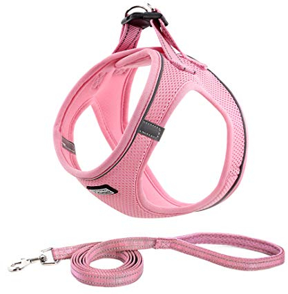 Suredoo Hundegeschirr mit Leine Anti Zug Geschirr Reflektierend Brustgeschirr für Kleine Hunde, Haustiere, Welpen, Katzen (Rosa, XS)