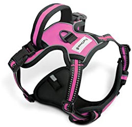 FurDreams Harnais Chien - Harnais Rembourré Sécurisé, Confortable, Bandes Réfléchissantes, Non Restrictif, Pas d'Étouffement, 4 Sangles Réglables, Anti-Traction, Fixation Facile (Rose, Petite)