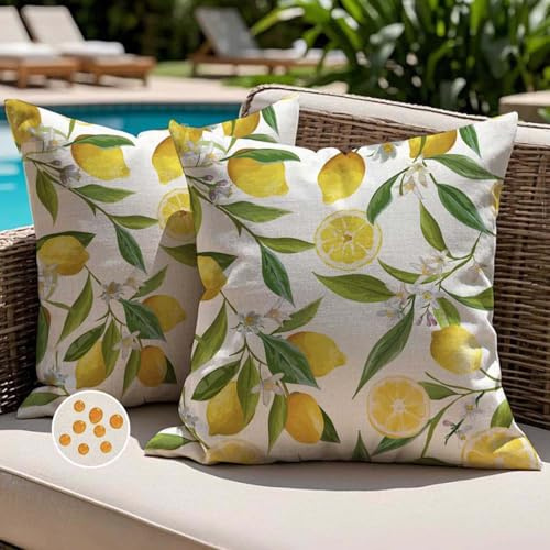 Jayusaror Outdoor Kissenbezug 40x40 Wetterfest Kissen Gelb Zitronen Sofakissen Blumen Kissenhülle Frühling Sommer Wasserdicht Kissenbezüge für Sofa Garten Balkon Terrassen Lounge Deko 2er Set