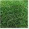 Rollo de Césped Artificial Moqueta de 7 mm (2_X_6_Metros)