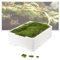 Moos - frisch Natur Platten Moos zum basteln echtes Plattenmoos - Deko Moos für Terrarium deko, Mooswand lebend, Moosbild selber machen, Moos kaufen, Bastel Moos Moosmatte (1 Kiste)