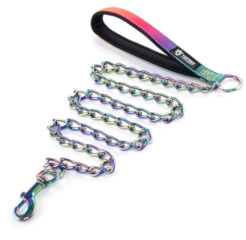 TSPRO Hundeleine Kette, Hundekette Leine Bissfest mit Weichem Griff, Leine Metall Hunde Kette für Mittelgroße und Große Hunde, mit D-Ring Rostfrei Anti-Kauen Kettenleine (4MM, Sparkly)