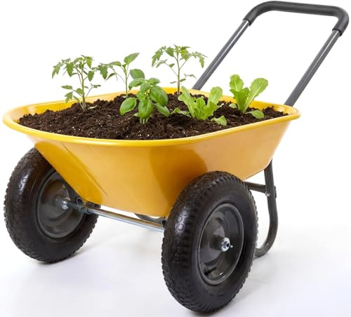 Virimolo Brouette Jardin 2 Roues Fer bac Plastique 124x66x62,5cm extérieur Charge 120kg