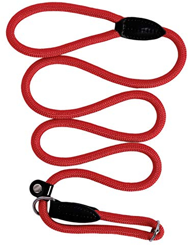 lionto Guinzaglio Retriever Guinzaglio per Cani Guinzaglio Formazione Cani, Lunghezza 170 cm Rosso