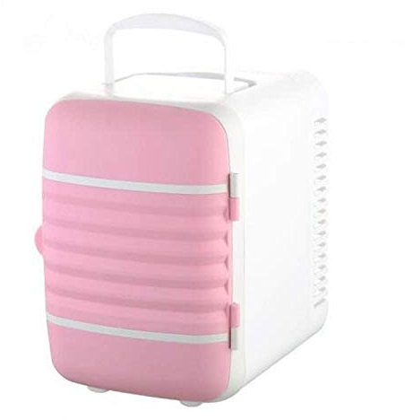 FZYE Mini réfrigérateur Portable, Refroidissement Silencieux, Faible consommation d'énergie, Compact rétro, Debout Libre, 12V220V-pour Voitures, Maisons, Bureaux et dortoirs, Rose