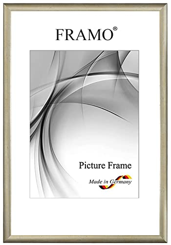 FRAMO Holz Bilderrahmen Schmal 55 x 75 cm aus Massivholz | Alt-Silber | Farbe/Größe wählbar | Rahmen für Poster | Puzzle | Foto collage N°075