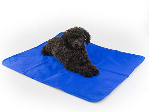 Procyon Kühlmatte für Hunde – Gel-Kühlmatte druckaktiviert - kein Einfrieren oder Kühlen - Verwendung drinnen, draußen oder im Auto (M (65x50cm))