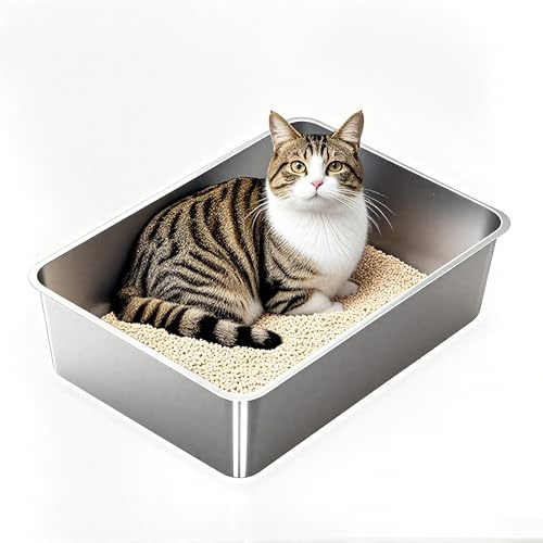 Edelstahl Katzenklo Katzentoilette, Metall Katzenklo für Große Katzen, 50 x 35 x 15 cm, Offen Katzenklo ohne Deckel, Keine Geruchsabsorption, Leicht zu Reinigen, Auslaufsicher, Rostfrei