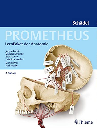 PROMETHEUS LernPaket Anatomie Schädel: Enth.: 1 Lerntafel Terminologie, 1 Lerntafel Foraminologie, 27 LernLeporellos
