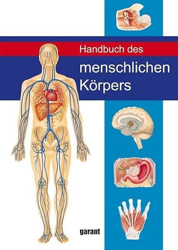Handbuch des Menschlichen Körpers: Körpers