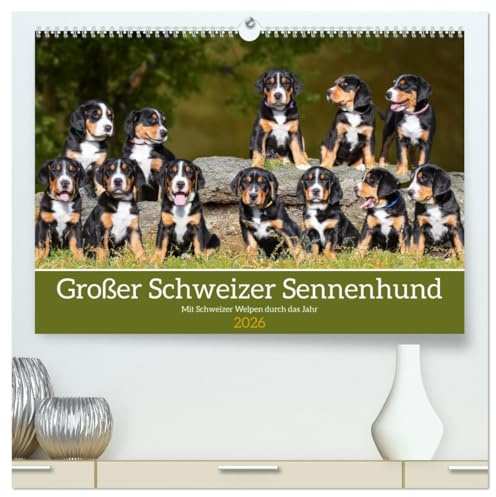 Großer Schweizer Sennenhund - Mit Schweizer Welpen durch das Jahr (hochwertiger Premium Wandkalender 2026 DIN A2 quer), Kunstdruck in Hochglanz: 13 ... der Rasse durch das Jahr (CALVENDO Tiere)