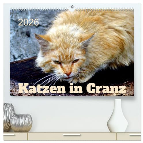 Katzen in Cranz (hochwertiger Premium Wandkalender 2026 DIN A2 quer), Kunstdruck in Hochglanz: Katzen verschiedener Rassen in Selenogradsk/Cranz (CALVENDO Tiere)