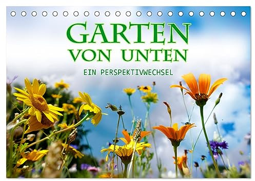 Garten von unten. Ein Perspektivwechsel (Tischkalender 2026 DIN A5 quer), CALVENDO Monatskalender: Pflanzen aus der Froschperspektive (CALVENDO Natur)