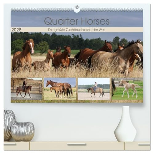 Quarter Horses - Die größte Zuchtbuchrasse der Welt (hochwertiger Premium Wandkalender 2026 DIN A2 quer), Kunstdruck in Hochglanz: Quarter Horses ... mit 12 verschiedenen Fotos (CALVENDO Tiere)