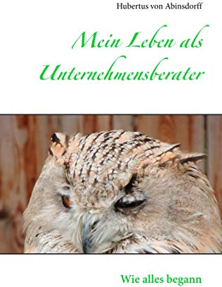 Mein Leben als Unternehmensberater: Wie alles begann