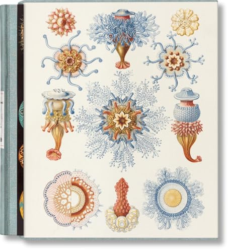 The Art and Science of Ernst Haeckel