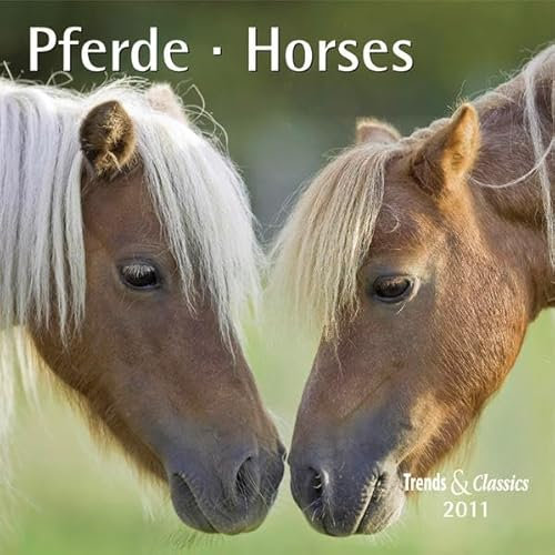 Pferde - T & C-Kalender 2011