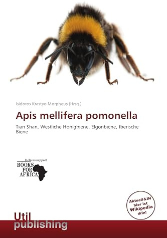 Apis mellifera pomonella: Tian Shan, Westliche Honigbiene, Elgonbiene, Iberische Biene