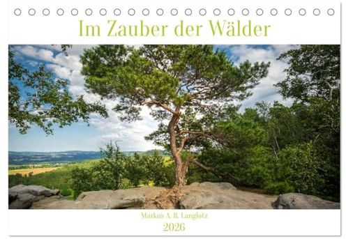 Im Zauber der Wälder (Tischkalender 2026 DIN A5 quer), CALVENDO Monatskalender: Zauberhafte Wälder Mitteleuropas (CALVENDO Natur)