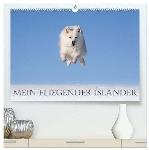 Mein fliegender Isländer (hochwertiger Premium Wandkalender 2026 DIN A2 quer), Kunstdruck in Hochglanz: Islandhunde sind sehr agile und sportliche Hunde. (CALVENDO Tiere)