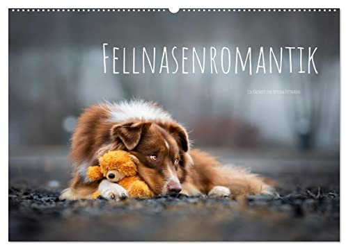 Fellnasenromantik (Wandkalender 2026 DIN A2 quer), CALVENDO Monatskalender: Hunde - Die bunte Welt der Vierbeiner (CALVENDO Tiere)