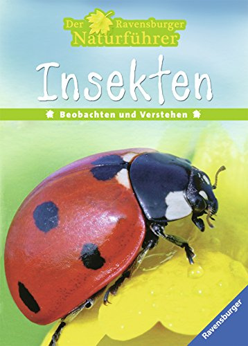 Insekten: Beobachten und Verstehen (Der Ravensburger Naturführer)