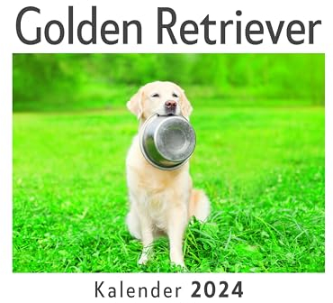 Golden Retriever (Wandkalender 2024, Kalender DIN A4 quer, Monatskalender im Querformat mit Kalendarium, Das perfekte Geschenk)