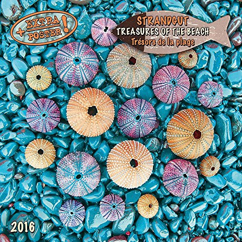 Beach and Sea/Strand und Meer 2024: Kalender 2024