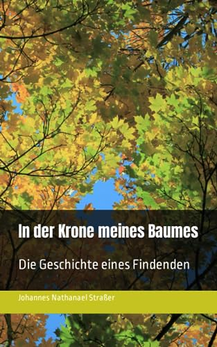 In der Krone meines Baumes: Die Geschichte eines Findenden