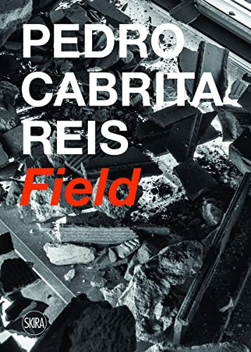 Pedro Cabrita Reis: Field (Cataloghi arte contemporanea)