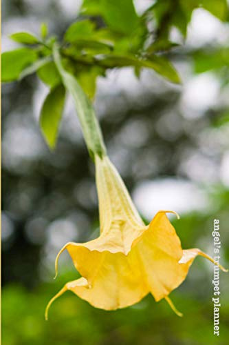 Angel's Trumpet Planner: Transformation and Rebirth