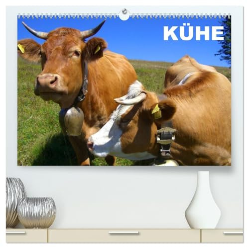 Kühe/Geburtstagskalender (hochwertiger Premium Wandkalender 2026 DIN A2 quer), Kunstdruck in Hochglanz: Verschiedene schöne Rinderrassen für alle Kuhliebhaber (CALVENDO Tiere)
