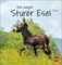 Esel - Von wegen sturer Esel Postkartenkalender 2024. Kleiner Kalender zum Aufstellen und Aufhängen im Postkartenformat. Monats-Tischkalender für Tierfreunde.: Von wegen sturer Esel