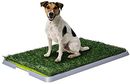 TEMPO DI SALDI Dog Toilette Per Cani Tappetino Lavabile A 3 Strati Separati Per Bisogni Animali