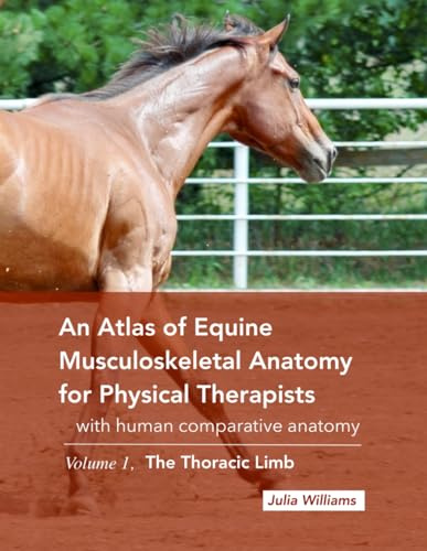 An Atlas of Equine Musculoskeletal Anatomy for Physical Therapists: with comparative human anatomy, Volume 1: The Thoracic Limb: With Human Comparative Anatomy