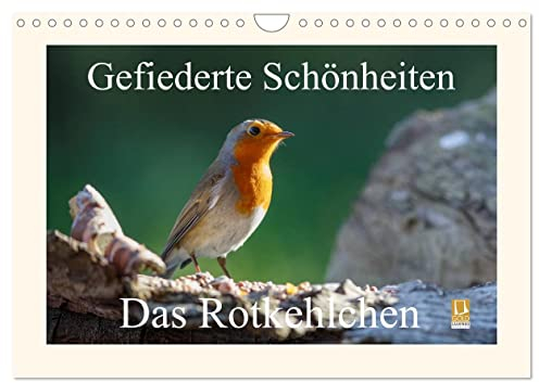 Gefiederte Schönheiten - Das Rotkehlchen (Wandkalender 2024 DIN A4 quer), CALVENDO Monatskalender: Das Rotkehlchen, eine gefiederte Schönheit die der ... festgehalten hat. (CALVENDO Tiere)