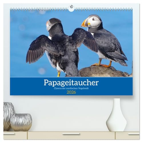 Papageitaucher - Clowns der nordischen Vogelwelt (hochwertiger Premium Wandkalender 2026 DIN A2 quer), Kunstdruck in Hochglanz: Papageitaucher sind ... vieler Nordlandtouristen (CALVENDO Tiere)