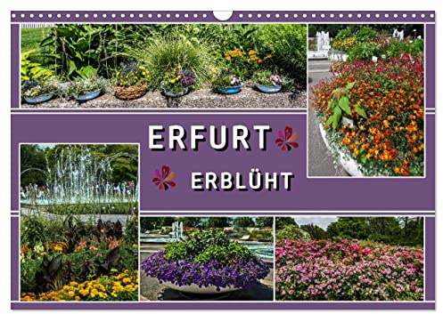 Erfurt erblüht (Wandkalender 2026 DIN A3 quer), CALVENDO Monatskalender: Blumenimpressionen in Erfurt (CALVENDO Orte)