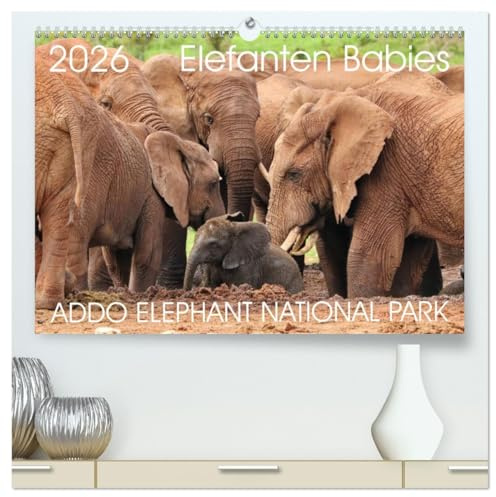 ADDO ELEPHANT NATIONAL PARK Elefanten Babies (hochwertiger Premium Wandkalender 2026 DIN A2 quer), Kunstdruck in Hochglanz: Addo Elephant National ... Elefanten Babies im Addo. (CALVENDO Tiere)