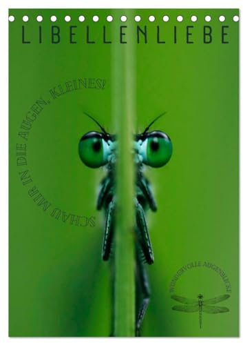LibellenLiebe - Schau mir in die Augen, Kleines! (Tischkalender 2025 DIN A5 hoch), CALVENDO Monatskalender: Wundervolle Augenblicke mit Libellen - ... bezaubernden Insekten. (CALVENDO Tiere)