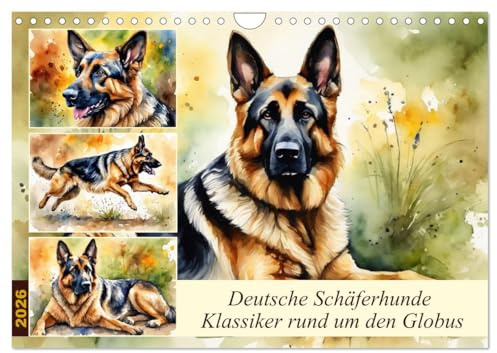 Deutsche Schäferhunde - Klassiker rund um den Globus (Wandkalender 2026 DIN A4 quer), CALVENDO Monatskalender: Freund und Helfer des Menschen (CALVENDO Tiere)